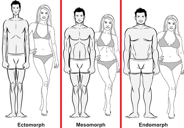 Body Types Diet Mesomorph Female